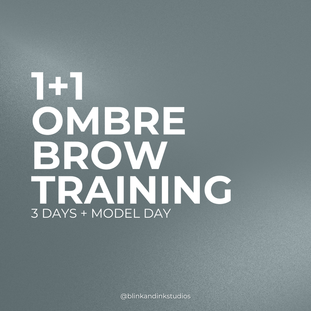 IN PERSON OMBRE BROW COURSE